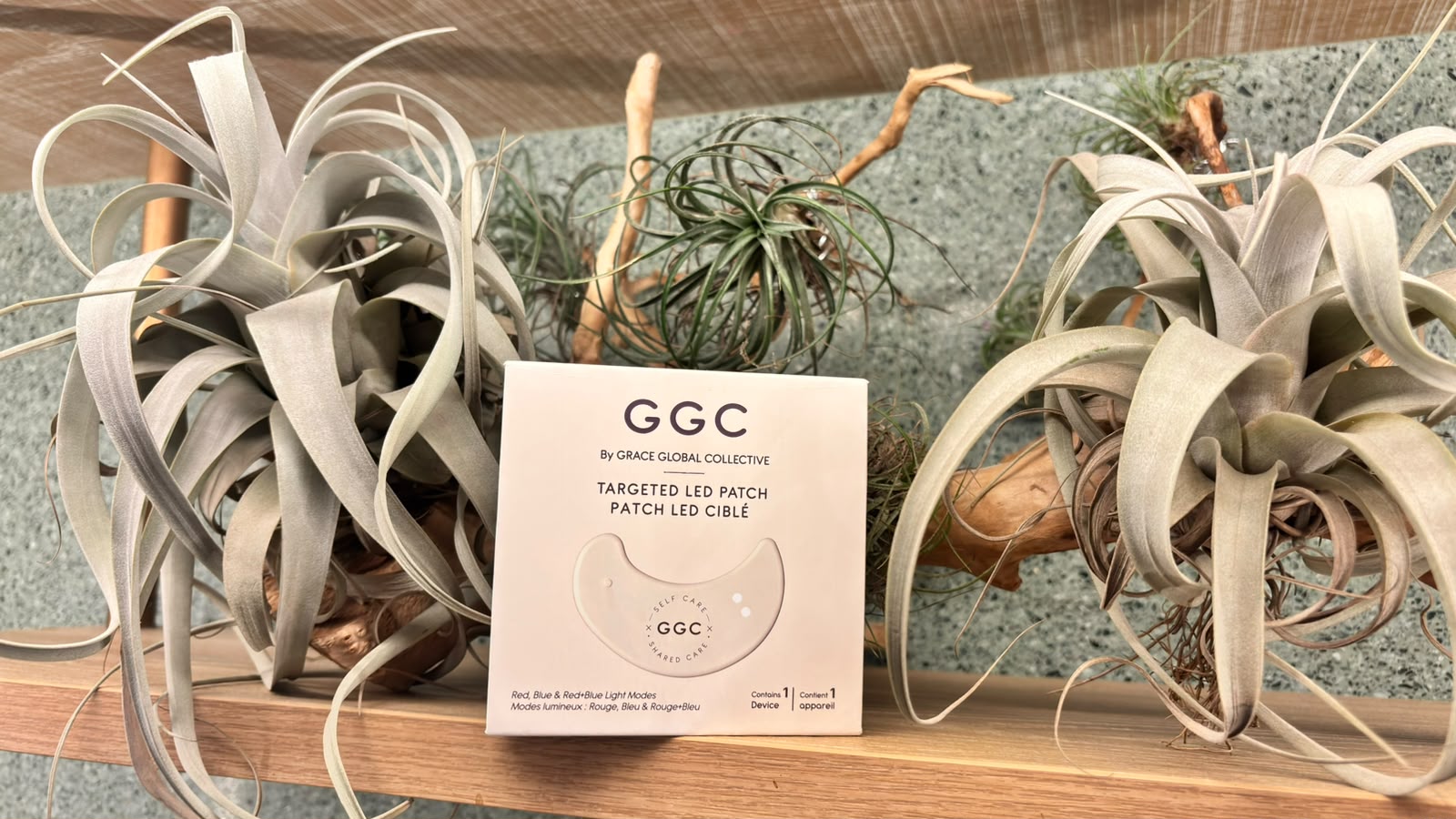 GGC Targeted LED Patch packaging on a wooden shelf between sculptural air plants